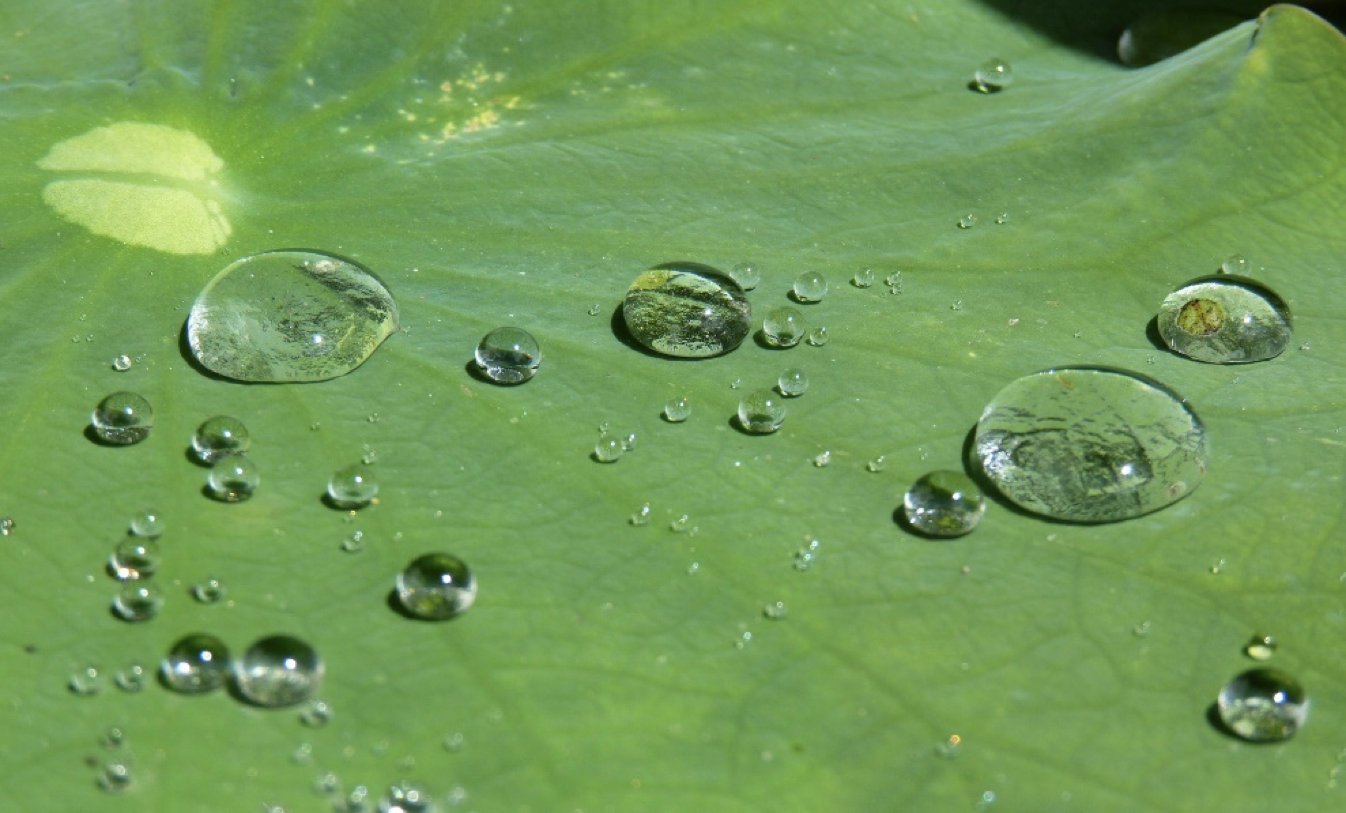 水性疏水劑在水性樹(shù)脂、涂料中能用嗎